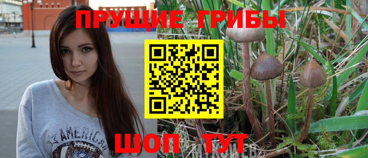 купить наркотики цена  Галлюциногенные грибы Magic Shrooms  Златоуст  Вход с VPN  Галлюциногенные грибы прущие грибы 